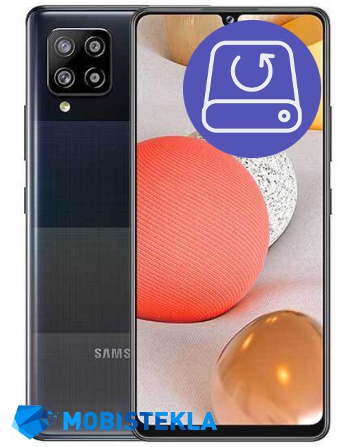 SAMSUNG Galaxy A42 - Ohranitev podatkov