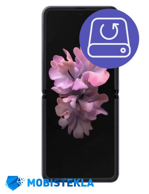 SAMSUNG Galaxy Z Flip 5G - Ohranitev podatkov