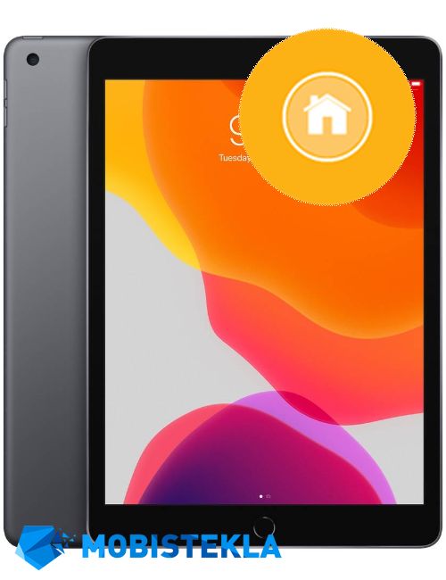 APPLE iPad 9 10,2 2021 - Popravilo HOME tipke