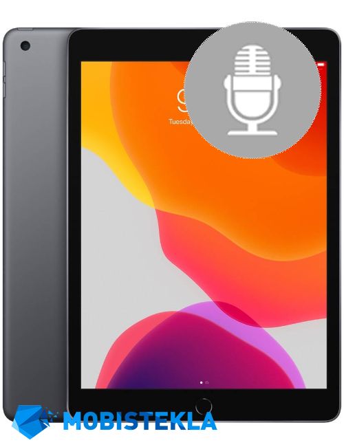 APPLE iPad 7 10,2 2019 - Popravilo mikrofona