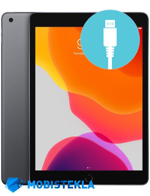 APPLE iPad 9 10,2 2021 - Popravilo polnilnega konektorja