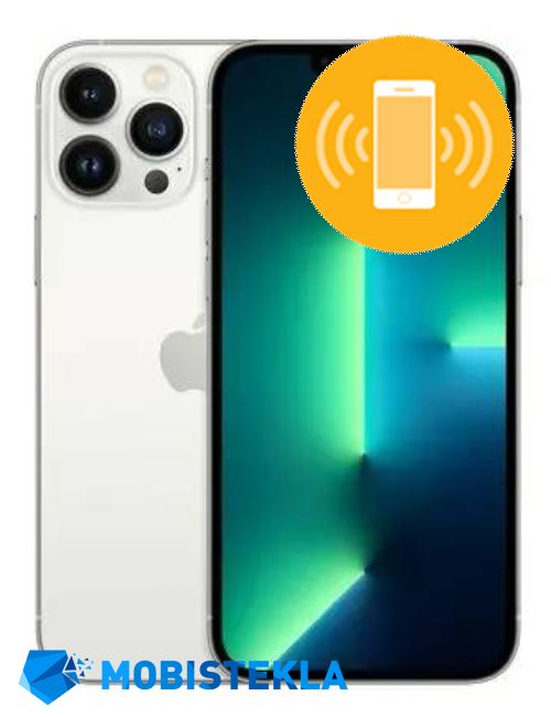 APPLE iPhone 13 Pro Max - Popravilo vibracije