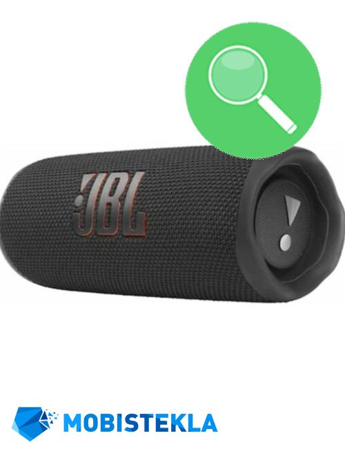 JBL Flip 6 - Pregled in diagnostika